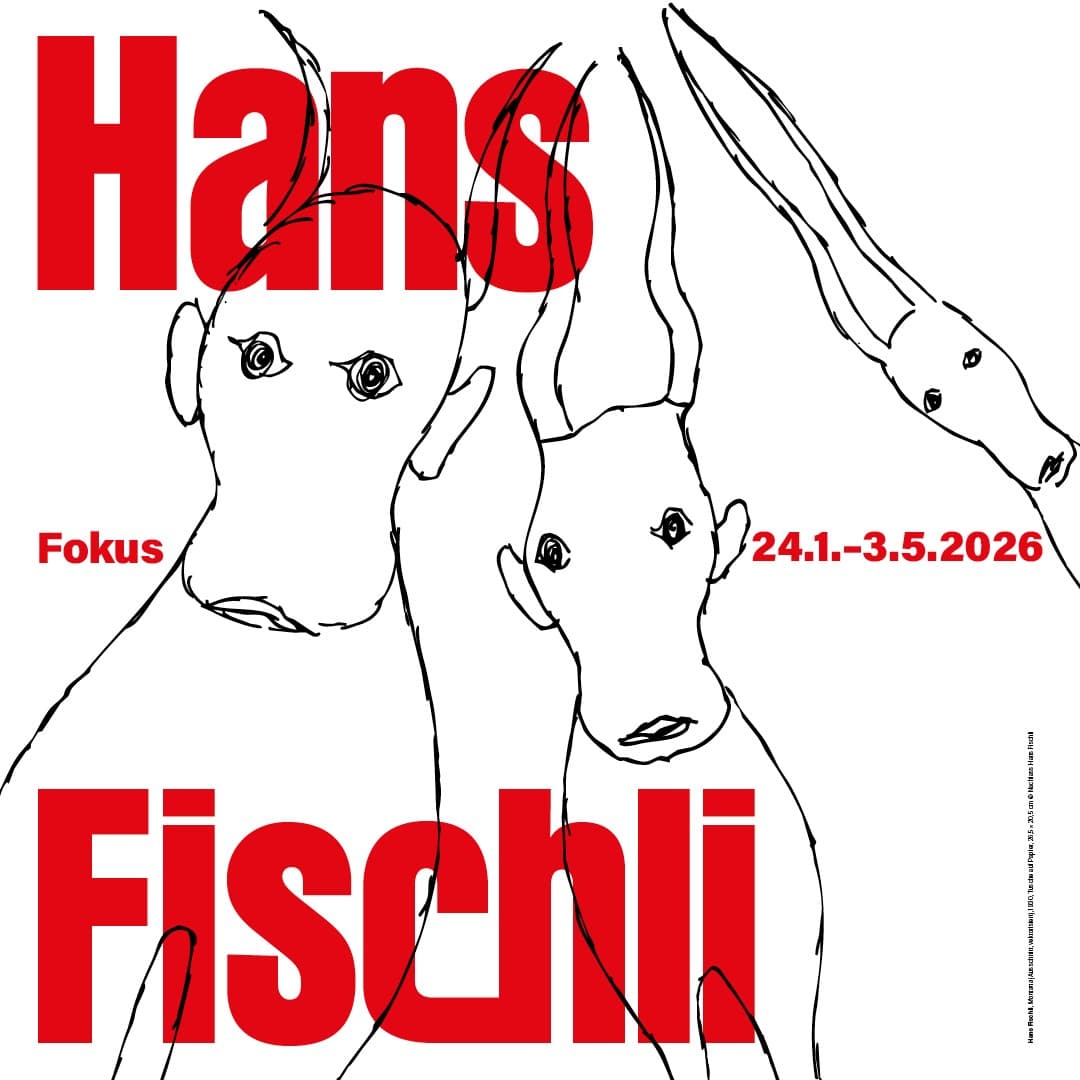 Fokus. Hans Fischli